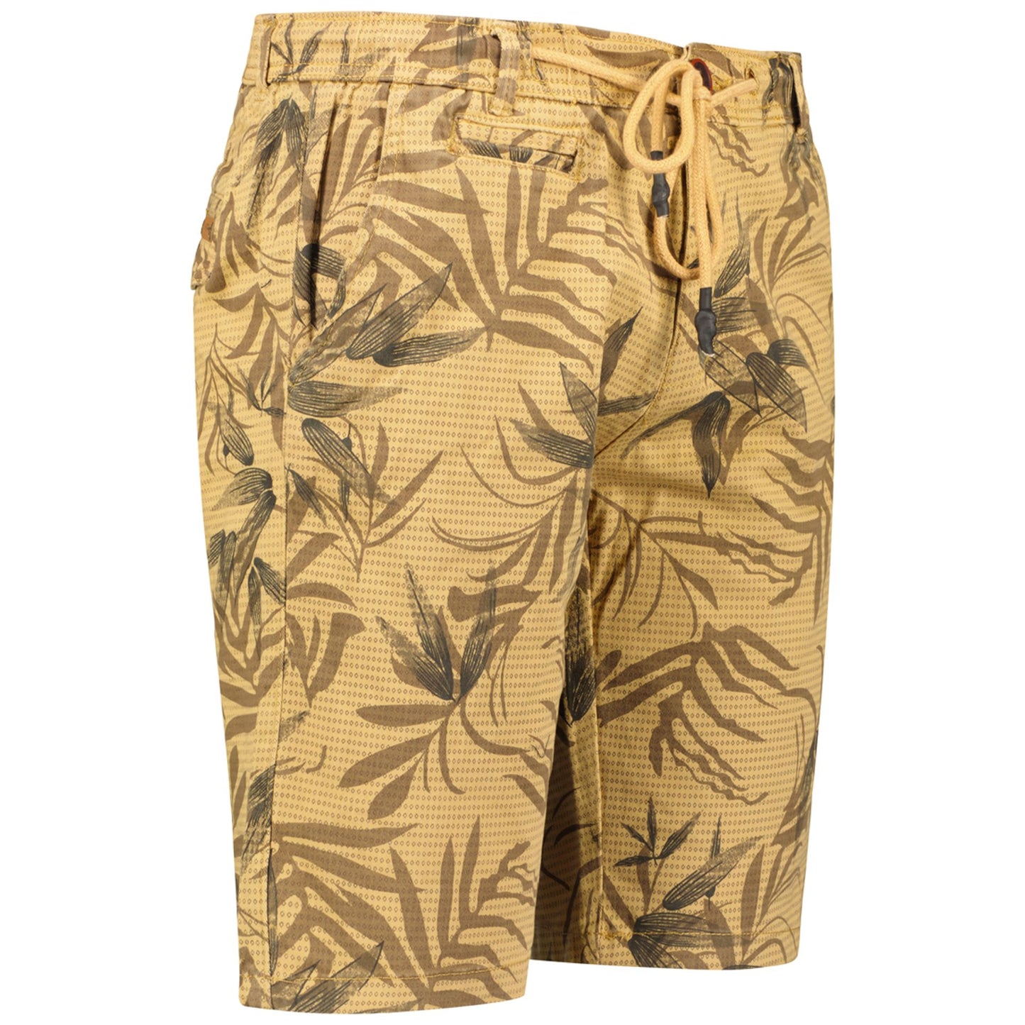 Geographical Norway Shorts